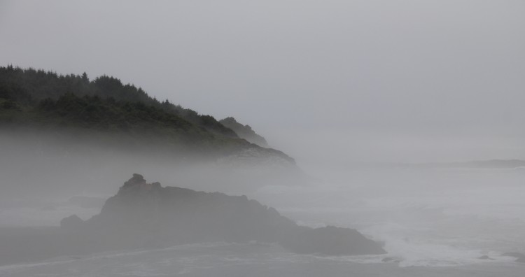 Fog=Shrouded Coast